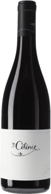 Les Terres de Philéandre Sans Soufre Pinot Black Côte de Nuits 75 cl