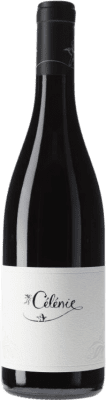 Les Terres de Philéandre Sans Soufre Pinot Noir — 黑皮诺 Côte de Nuits 75 cl