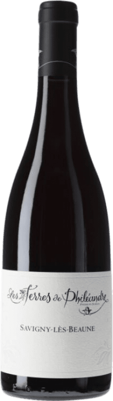 送料無料 | 赤ワイン Les Terres de Philéandre A.O.C. Savigny-lès-Beaune ブルゴーニュ フランス Pinot Black 75 cl