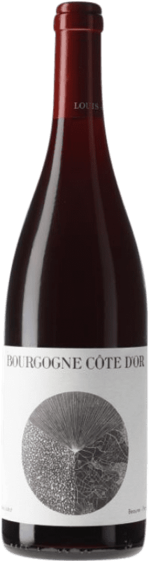 29,95 € | Vino rosso Louis Jadot Côte d'Or Borgogna Francia Pinot Nero 75 cl