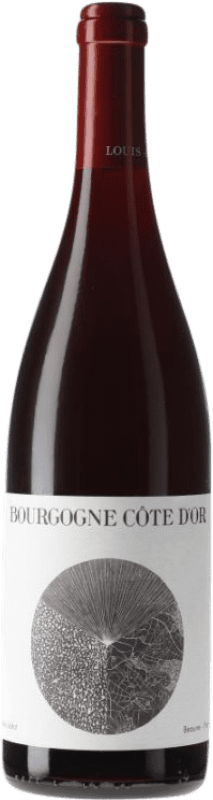 Бесплатная доставка | Красное вино Louis Jadot Côte d'Or A.O.C. Bourgogne Côte d'Or Бургундия Франция Pinot Black 75 cl
