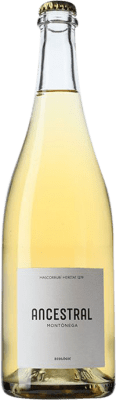 Mascorrubí La Teulera Parellada — パレリャーダ Ancestral — 古来 75 cl