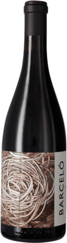 Envio grátis | Vinho tinto Descendientes J. Palacios Matador Barceló D.O. Bierzo Castela e Leão Espanha 75 cl