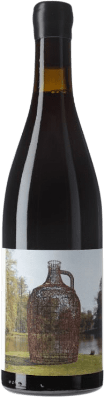 Free Shipping | Red wine Matador Joana Vasconcelos D.O. Valencia Valencian Community Spain 75 cl