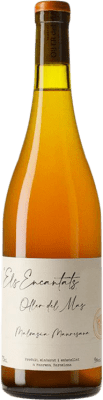 Oller del Mas Els Encantats Malvasía — Malvoisie Pla de Bages 75 cl