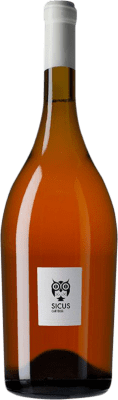 Sicus Àmfora Xarel·lo Penedès Magnumflasche 1,5 L
