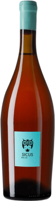 Sicus Malvasia Penedès Ánfora — Ânfora 75 cl