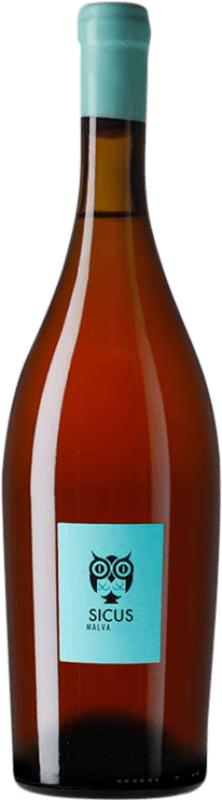 Kostenloser Versand | Weißwein Sicus Àmfora D.O. Penedès Katalonien Spanien Malvasia 75 cl
