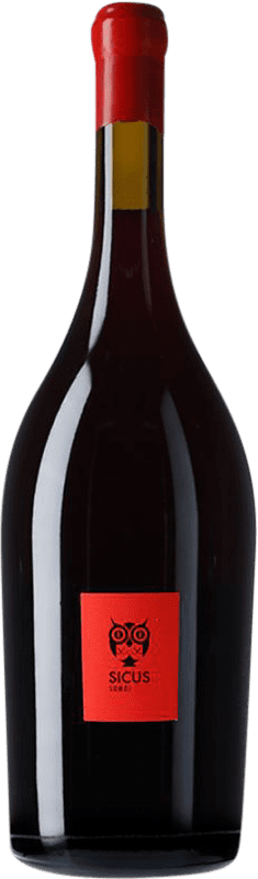 Kostenloser Versand | Rotwein Sicus Àmfora D.O. Penedès Katalonien Spanien Sumoll Magnumflasche 1,5 L