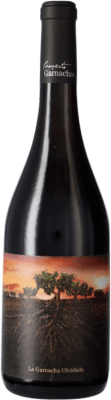 Vintae Olvidada de Aragón Garnacha — Гренаш Calatayud 75 cl