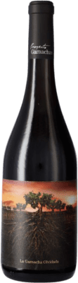 Vintae Olvidada de Aragón Grenache Calatayud 75 cl