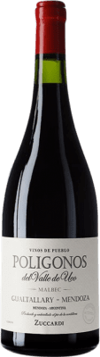 Zuccardi Polígonos Gualtallary