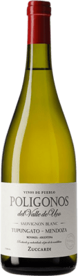 Zuccardi Polígonos Tupungato