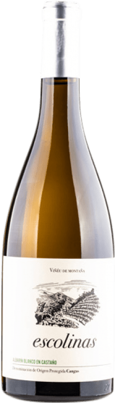 26,95 € | Vino Bianco Escolinas Castaño D.O.P. Vino de Calidad de Cangas Principato delle Asturie Spagna Albarín 75 cl