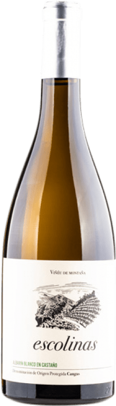 Free Shipping | White wine Escolinas Castaño Blanco D.O.P. Vino de Calidad de Cangas Principality of Asturias Spain Albarín 75 cl
