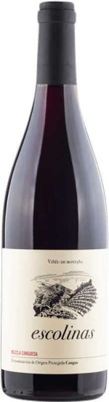 Envío gratis | Vino tinto Escolinas Mezcla Canguesa D.O.P. Vino de Calidad de Cangas Principado de Asturias España Mencía, Verdejo Negro, Carrasquín, Albarín Negro Botella Magnum 1,5 L