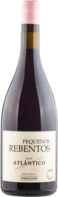 Márcio Lopes Pequenos Rebentos Atlántico Vinho Verde 75 cl