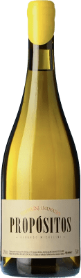 Michelini i Mufatto Propósitos Chenin Mendoza 75 cl