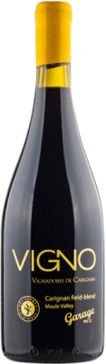 Garage Wine Carignan Valle del Maule 75 cl