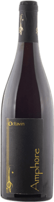 Envío gratis | Vino Tinto Domaine de l'Octavin Ánfora Jura Francia Trousseau 75 cl Domaine de l'Octavin Trousseau Ánfora 75 cl