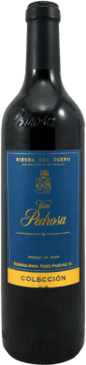 Hermanos Pérez Pascuas Viña Pedrosa Tempranillo Ribera del Duero Colección — Collezione 75 cl