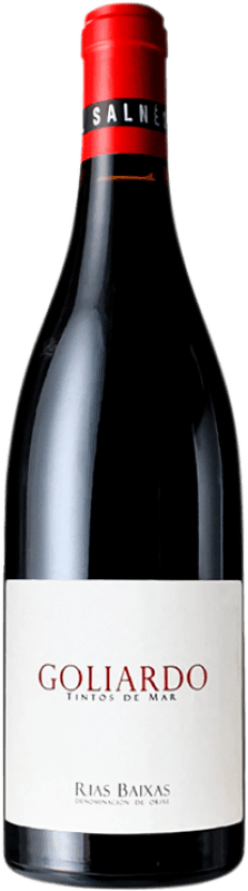 19,95 € | Red wine Forjas del Salnés Goliardo Tinto D.O. Rías Baixas Galicia Spain Sousón, Caíño Black, Espadeiro, Loureiro Bottle 75 cl