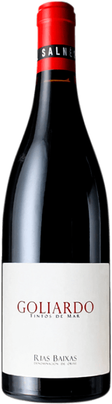 21,95 € 免费送货 | 红酒 Forjas del Salnés Goliardo Tinto D.O. Rías Baixas