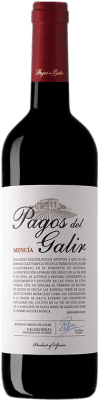 Virxe de Galir Pagos Del Galir Mencía Valdeorras 75 cl