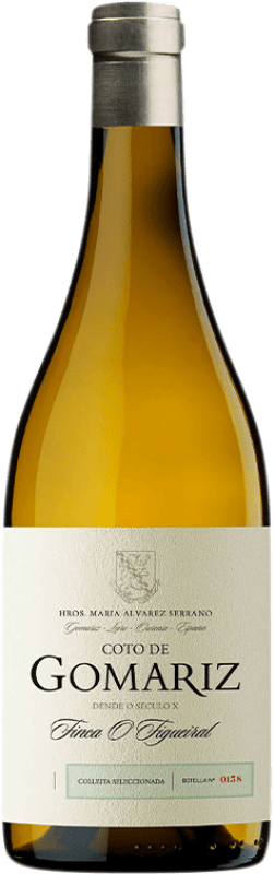 29,95 € | White wine Coto de Gomariz Colleita Seleccionada D.O. Ribeiro Galicia Spain Godello, Loureiro, Treixadura, Albariño, Lado Bottle 75 cl