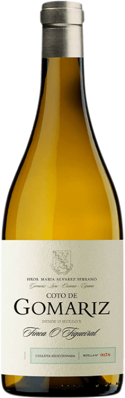 21,95 € | Vin blanc Coto de Gomariz Colleita Seleccionada D.O. Ribeiro Galice Espagne Godello, Loureiro, Treixadura, Albariño, Lado 75 cl
