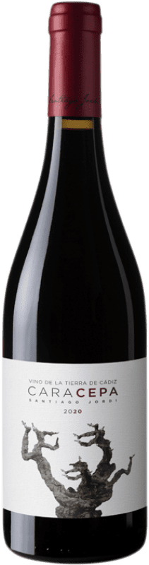 12,95 € | Red wine Santiago Jordi Cara Cepa Oak I.G.P. Vino de la Tierra de Cádiz Andalusia Spain Syrah, Petit Verdot, Tintilla de Rota 75 cl