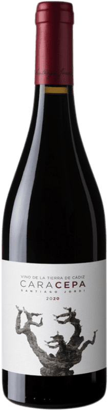 Spedizione Gratuita | Vino Rosso Santiago Jordi Cara Cepa Rovere I.G.P. Vino de la Tierra de Cádiz Andalusia Spagna Syrah, Petit Verdot, Tintilla de Rota 75 cl