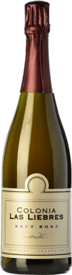 Altos Las Hormigas Colonia Las Liebres Rosé Bonarda Brut Natur Mendoza 75 cl