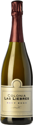Altos Las Hormigas Colonia Las Liebres Rosé Brut Natur