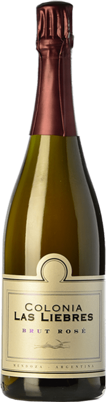 19,95 € Spedizione Gratuita | Spumante rosato Altos Las Hormigas Colonia Las Liebres Rosé Brut Nature I.G. Mendoza