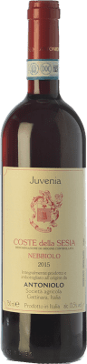 Antoniolo Juvenia