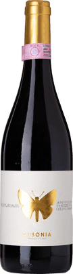 Ausonia Nostradamus Montepulciano Montepulciano d'Abruzzo 75 cl