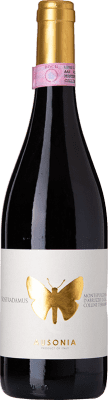 Ausonia Nostradamus Montepulciano Montepulciano d'Abruzzo Colline Teramane 75 cl