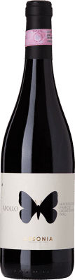 Ausonia Apollo Montepulciano Montepulciano d'Abruzzo Colline Teramane 75 cl