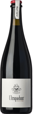 Bisi Ultrapadum Provincia di Pavia Frizzante — Perlwein 75 cl