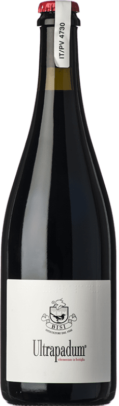 14,95 € | 赤いスパークリングワイン Bisi Rosso Frizzante Ultrapadum I.G.T. Provincia di Pavia ロンバルディア イタリア Barbera, Croatina 75 cl