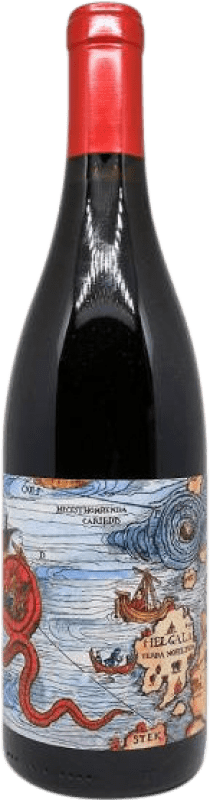 Free Shipping | Red wine Birinchino Scylla Assemblage I.G. Santa Cruz Mountains California United States Grenache Tintorera, Carignan, Mourvèdre 75 cl