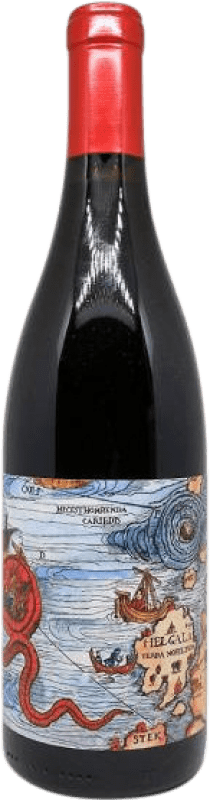Envio grátis | Vinho tinto Birinchino Scylla Assemblage I.G. Santa Cruz Mountains California Estados Unidos Grenache Tintorera, Carignan, Mourvèdre 75 cl