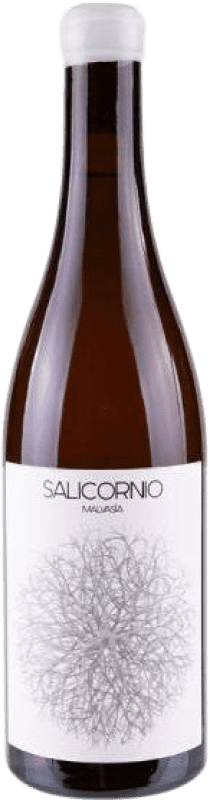 免费送货 | 白酒 Vinessens Salicornio D.O. Alicante 巴伦西亚社区 西班牙 Malvasía 75 cl