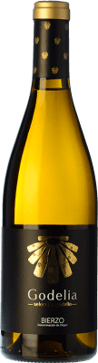 Godelia Selección Godello Bierzo старения 75 cl