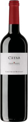 Pinord Càtar Montsant Молодой 75 cl