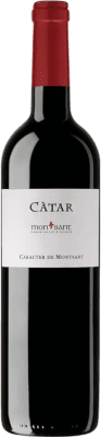 Pinord Càtar Montsant Young 75 cl