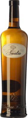 Rubicón Amalia Malvasía Trocken Lanzarote Alterung 75 cl