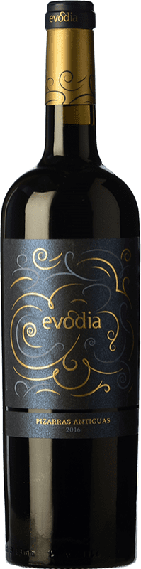 10,95 € | Red wine San Alejandro Evodia Pizarras Antiguas Aged D.O. Calatayud Spain Grenache Bottle 75 cl