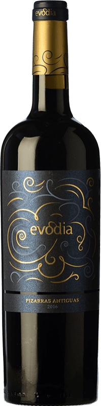 11,95 € | Vino Rosso San Alejandro Evodia Pizarras Antiguas Crianza — Invecchiato in Botte D.O. Calatayud Spagna Garnacha — Grenache 75 cl